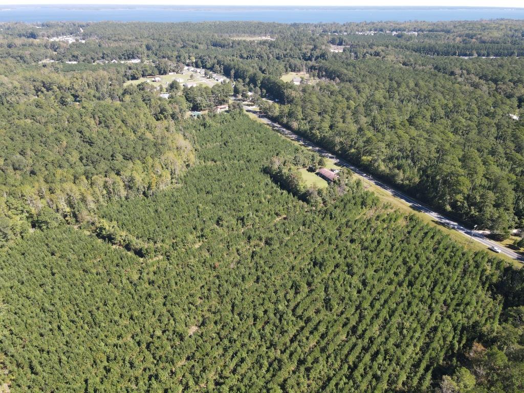 Advance Land and Timber Land for Sale