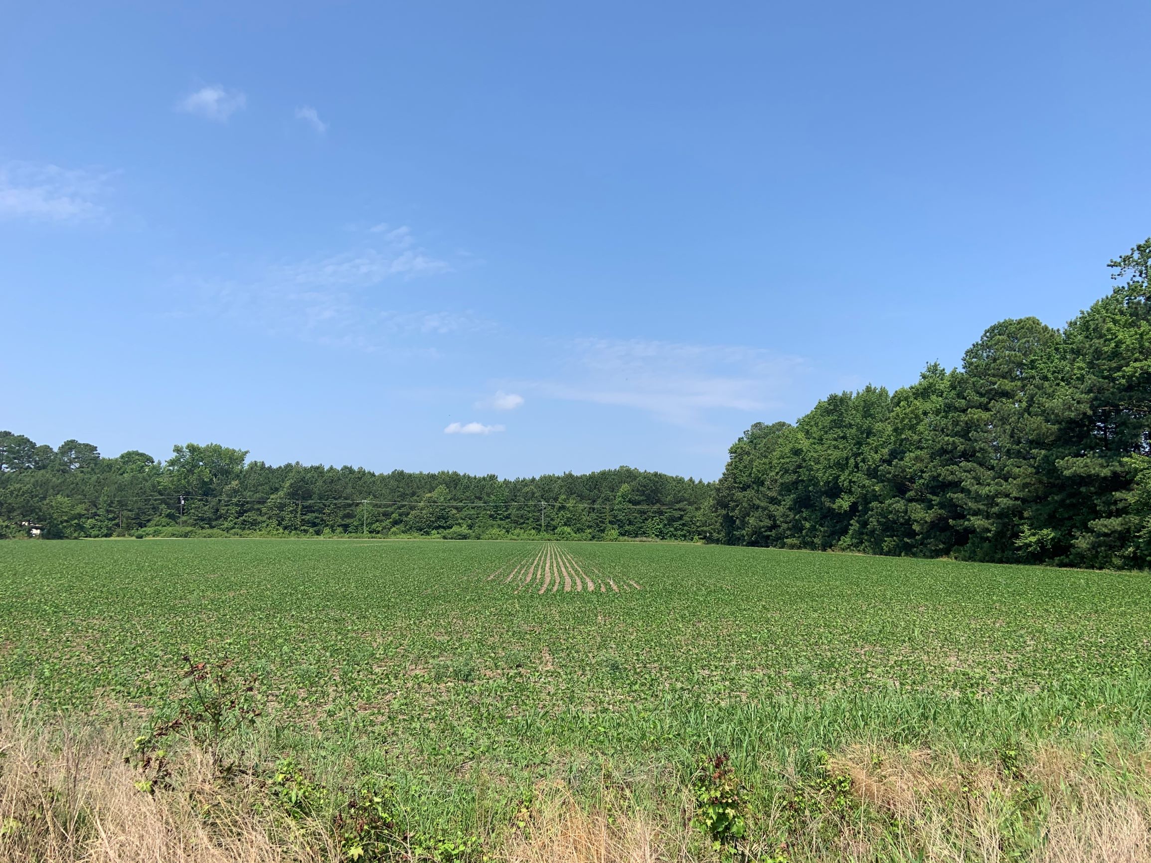 Westmoreland County Virginia Land for Sale