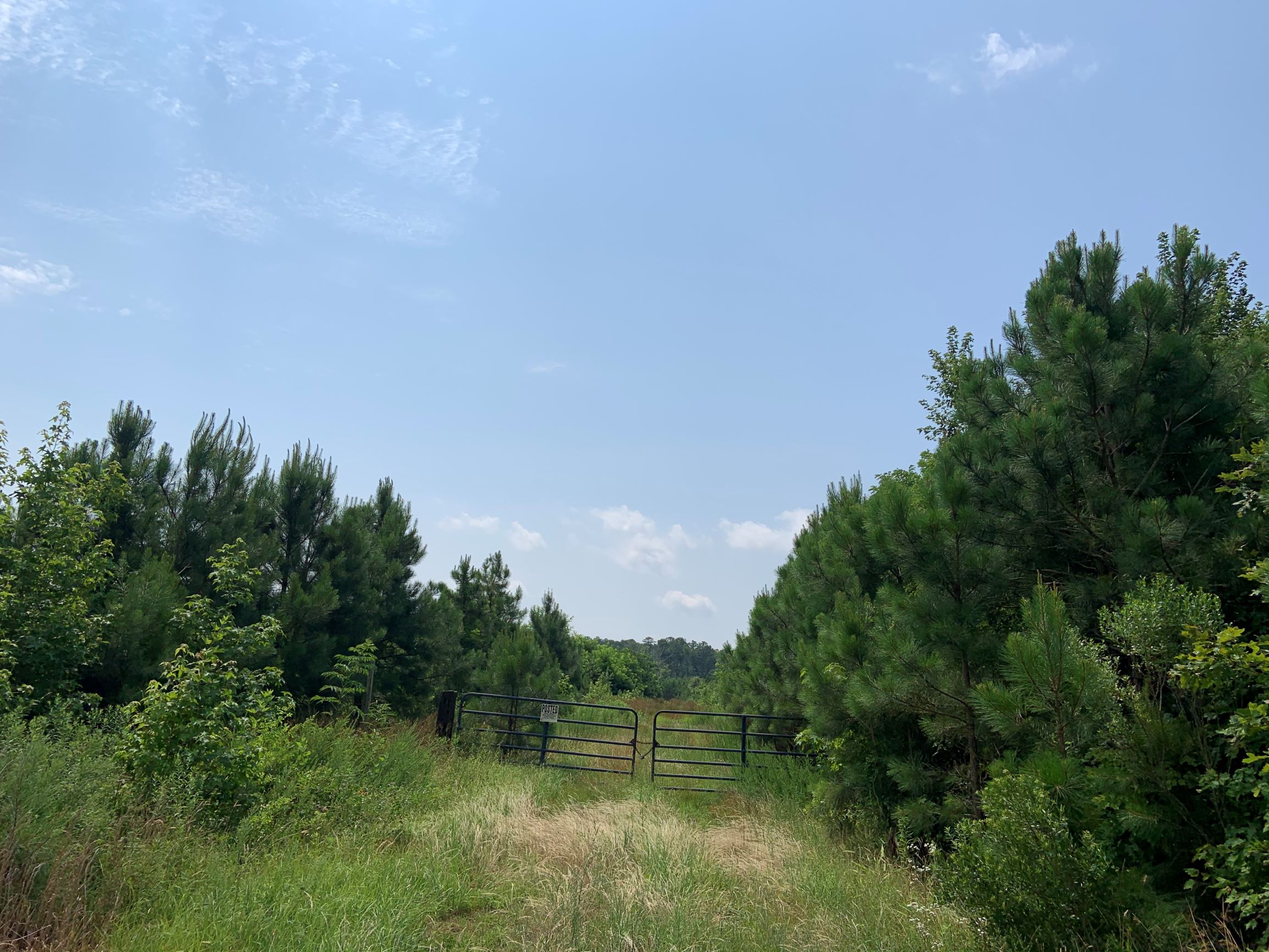 Advance Land and Timber Land for Sale