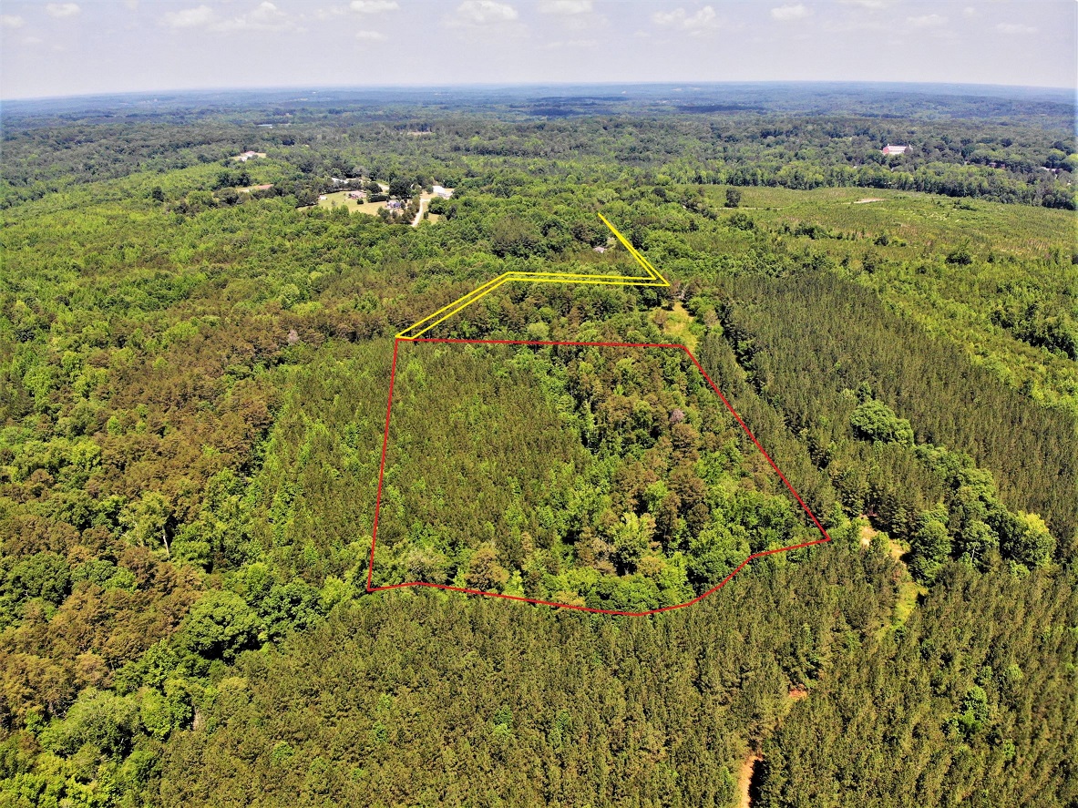 Advance Land and Timber Land for Sale