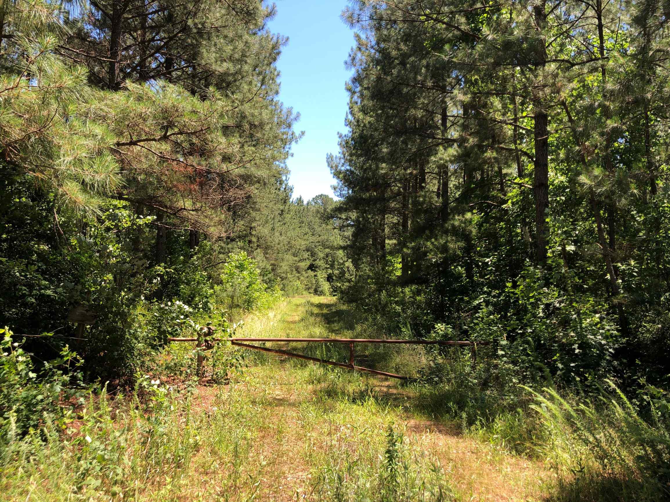 Advance Land and Timber Land for Sale