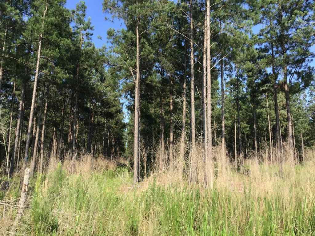 Horry County South Carolina Land for Sale