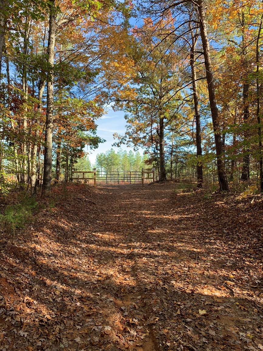 Advance Land and Timber Land for Sale