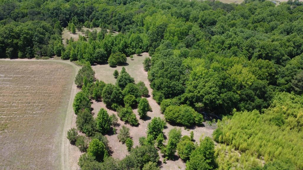 Advance Land and Timber Land for Sale