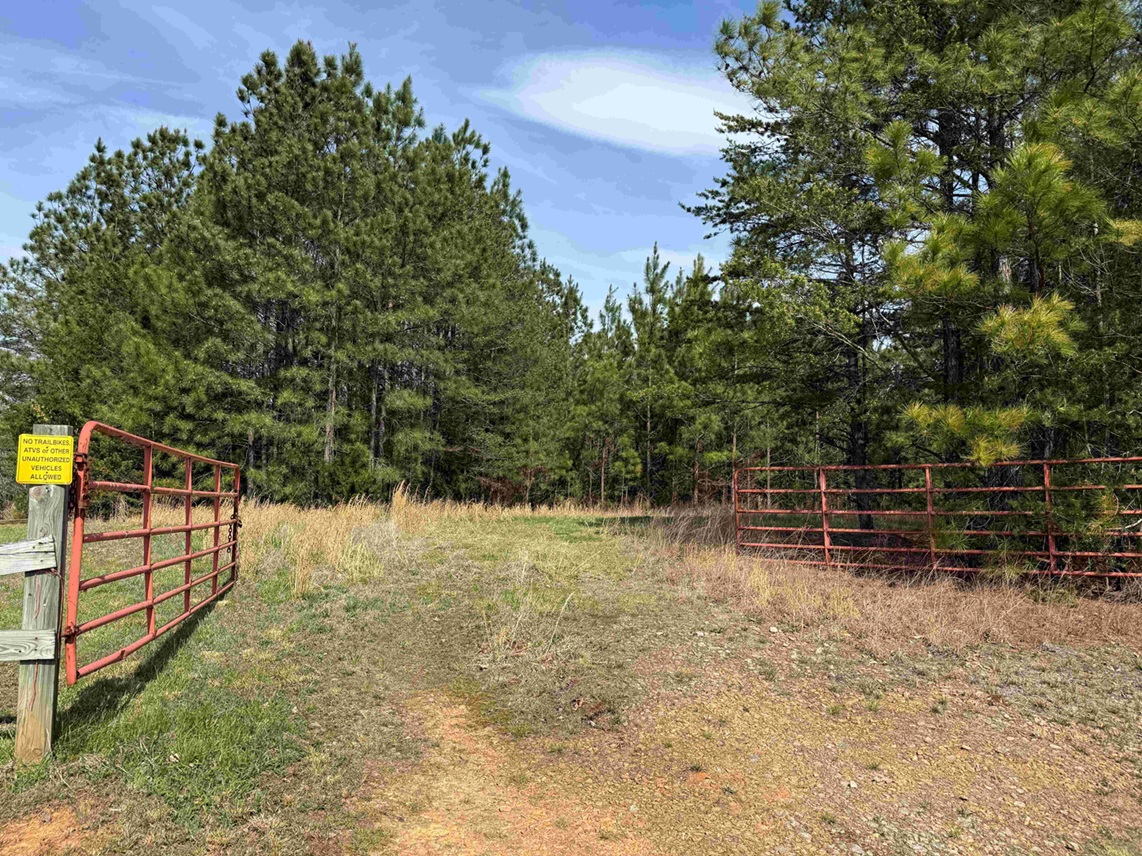 Advance Land and Timber Land for Sale