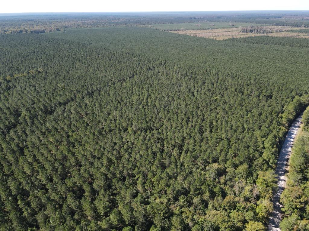 Advance Land and Timber Land for Sale