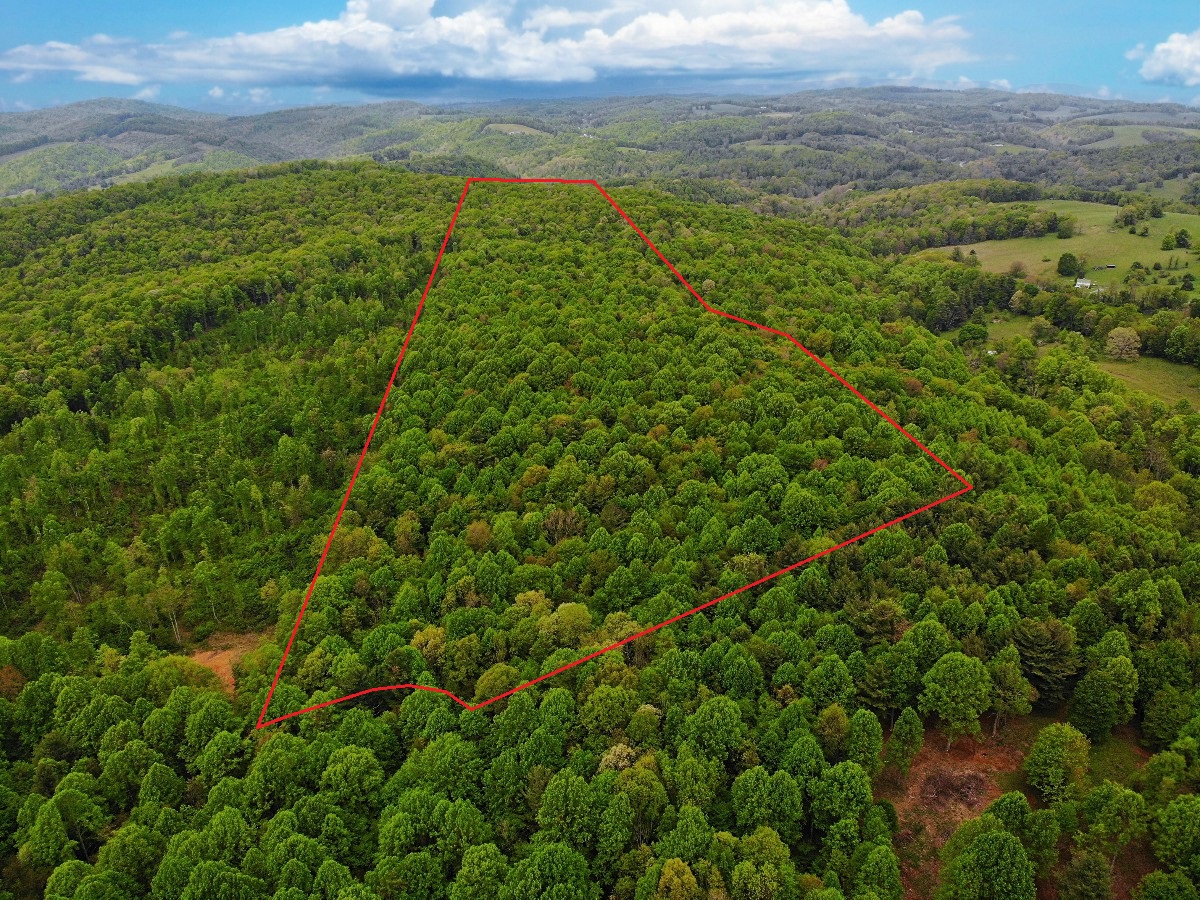 Advance Land and Timber Land for Sale