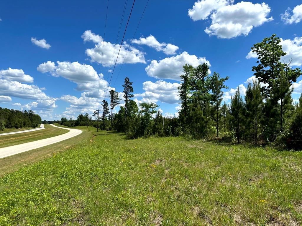 Advance Land and Timber Land for Sale