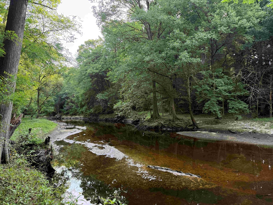 Advance Land and Timber Land for Sale