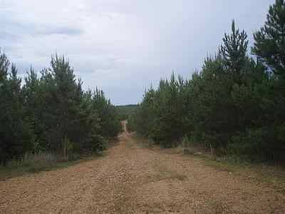 Alcorn County Mississippi Land for Sale