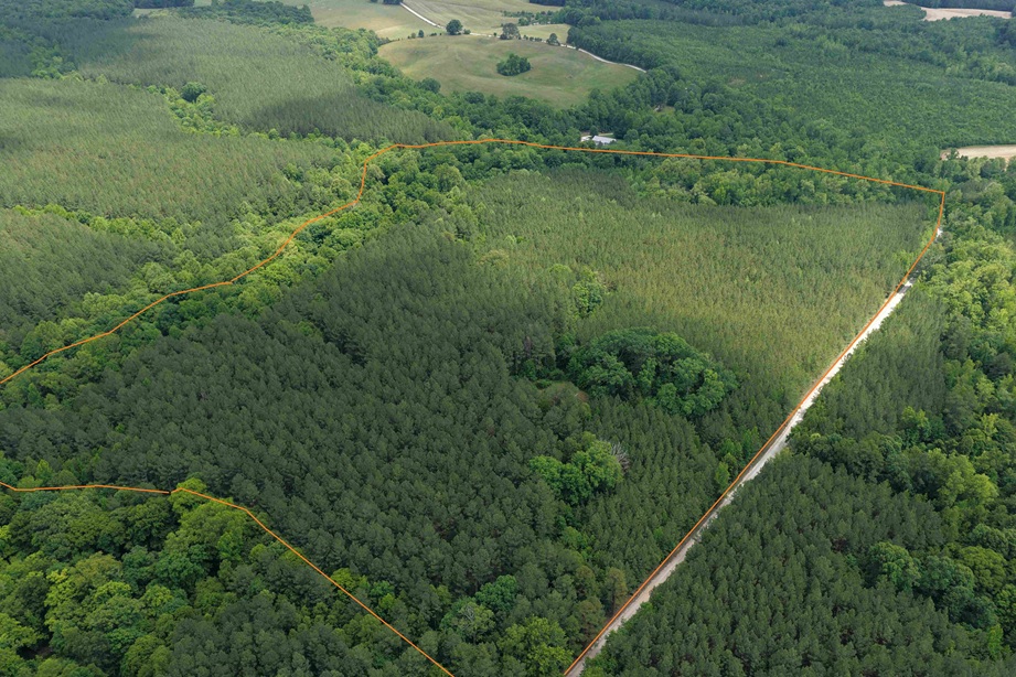 Advance Land and Timber Land for Sale