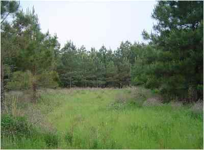 Chester County South Carolina Land for Sale