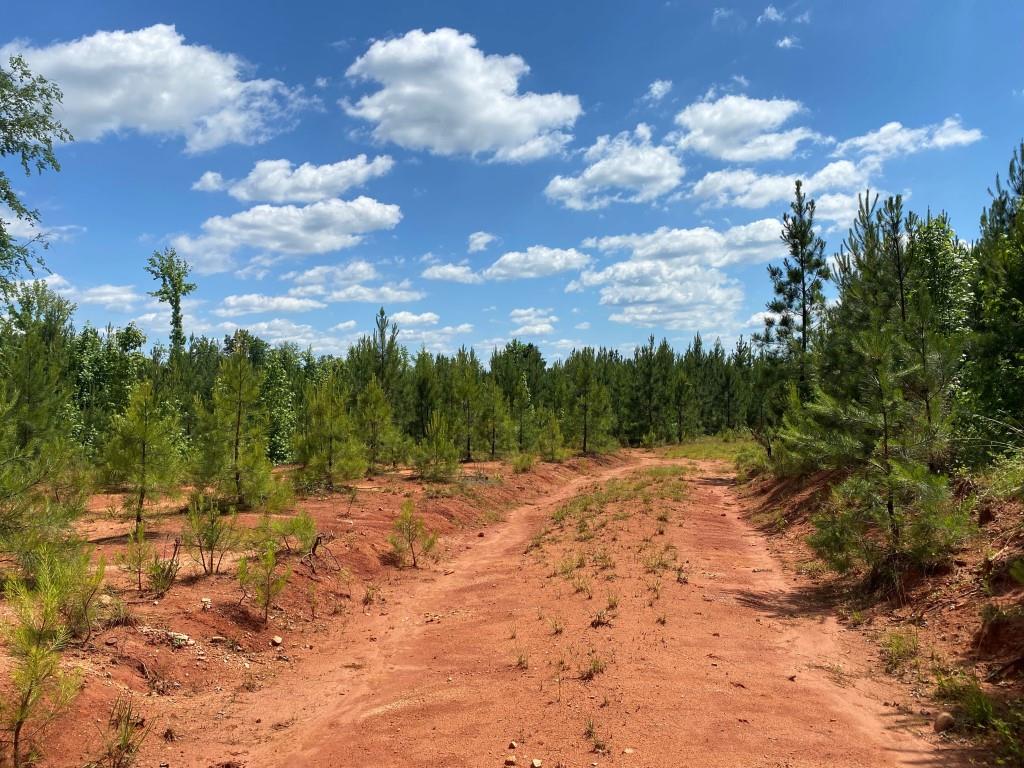 Advance Land and Timber Land for Sale
