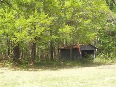 Williamsburg County South Carolina Land for Sale