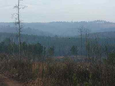 Richmond County North Carolina Land for Sale