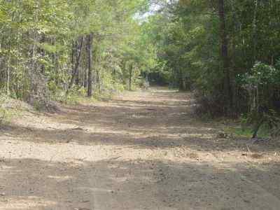 Lee County South Carolina Land for Sale
