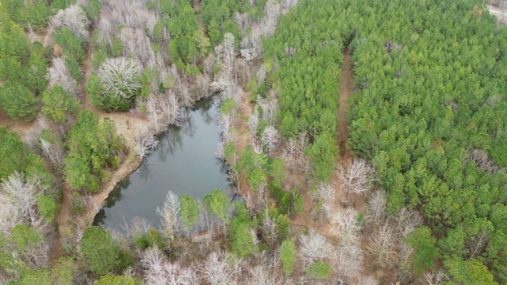 Advance Land and Timber Land for Sale