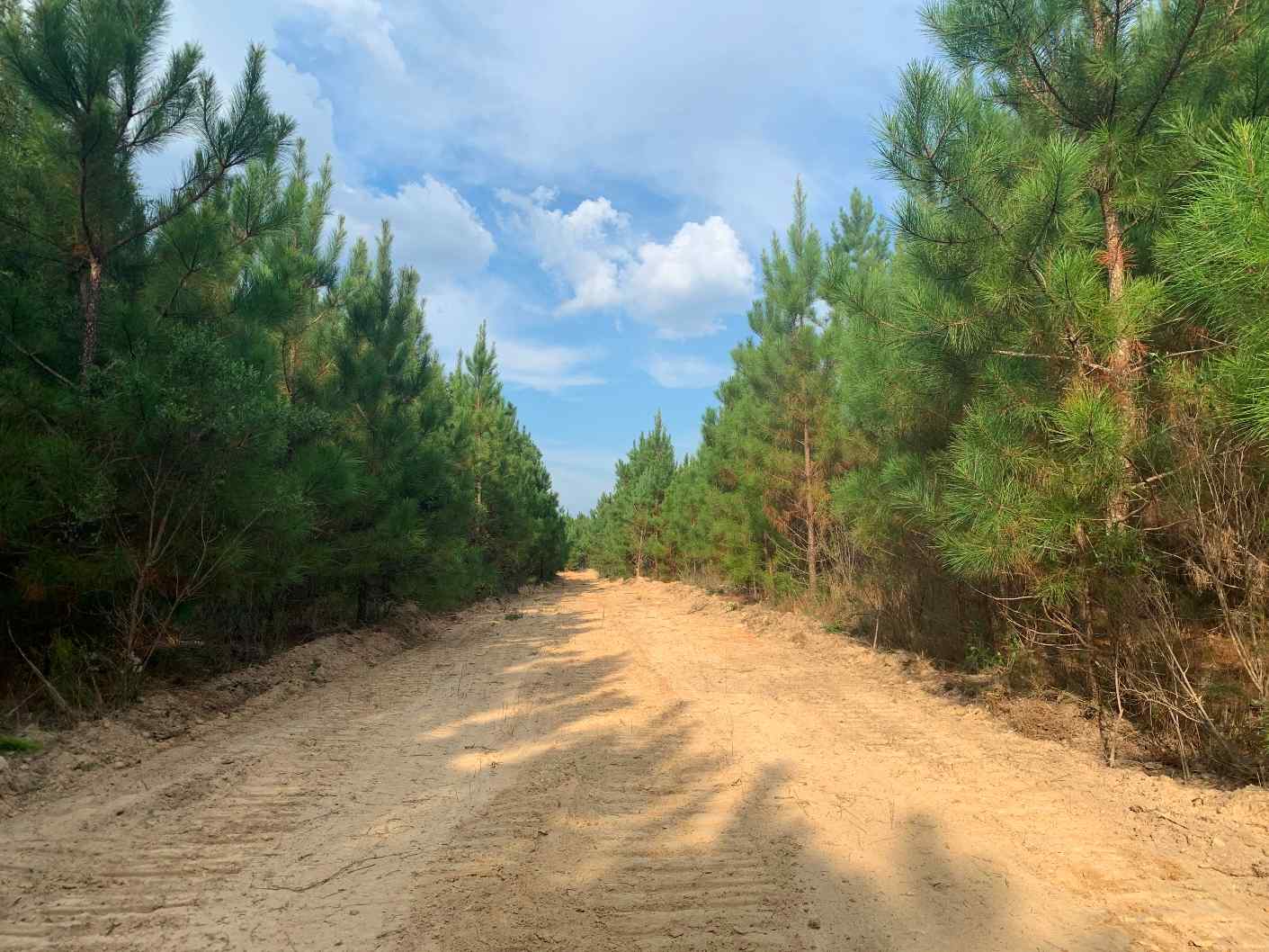 Advance Land and Timber Land for Sale