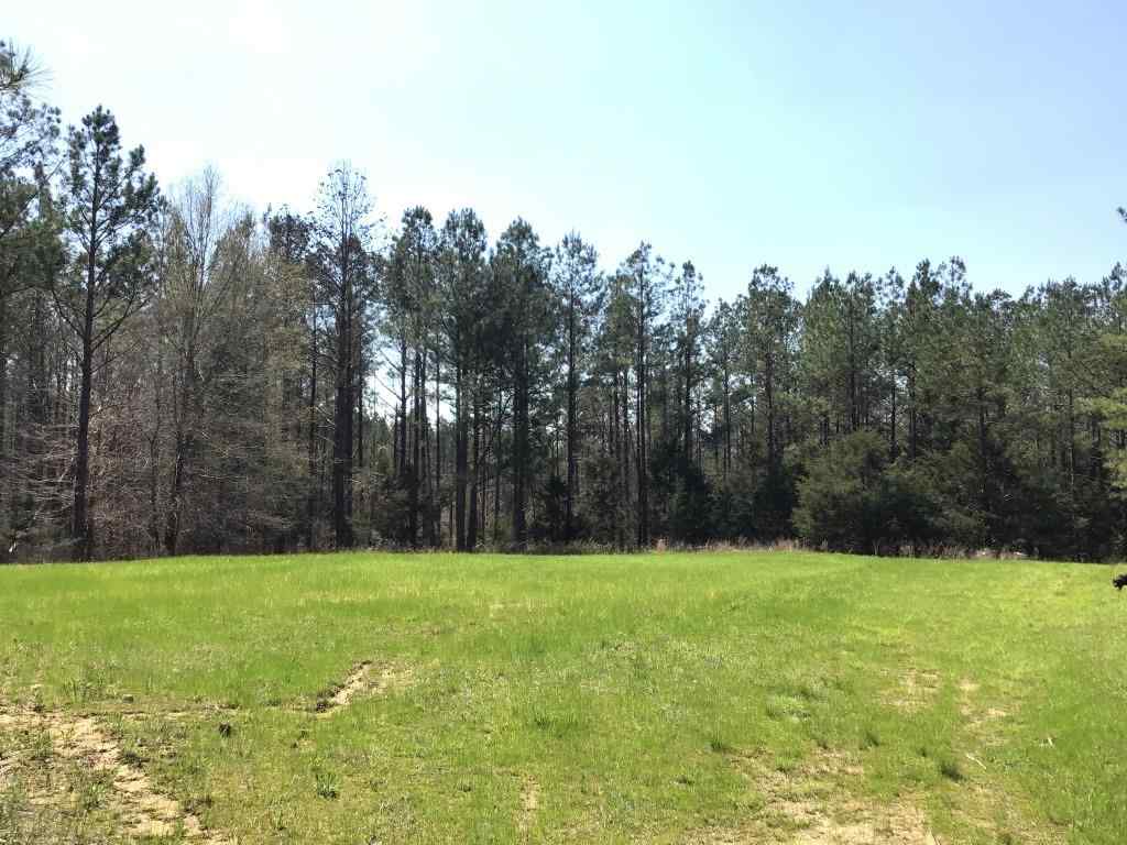 Charlotte County Virginia Land for Sale