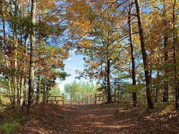 Appomattox County Virginia Land for Sale