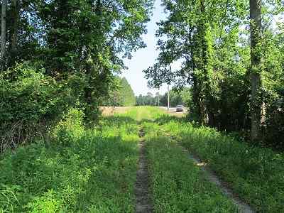 Advance Land and Timber Land for sale