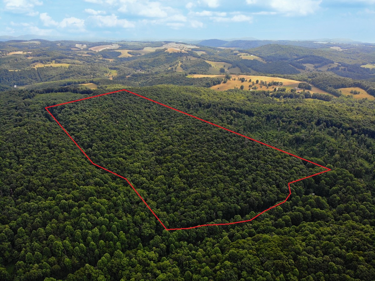 Advance Land and Timber Land for Sale