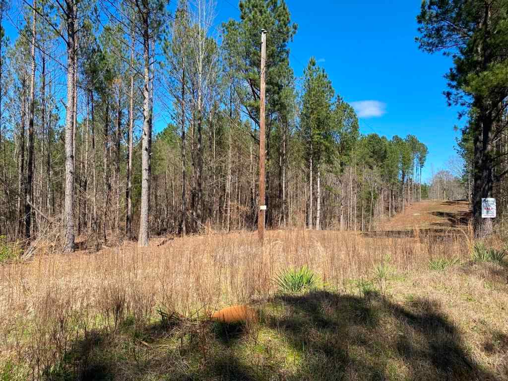 Advance Land and Timber Land for Sale