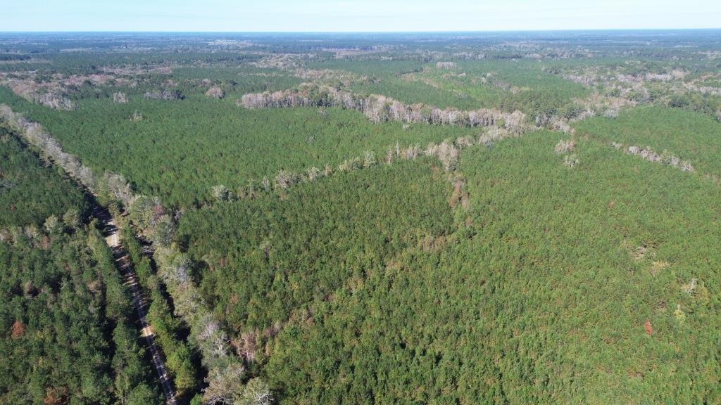 Advance Land and Timber Land for Sale