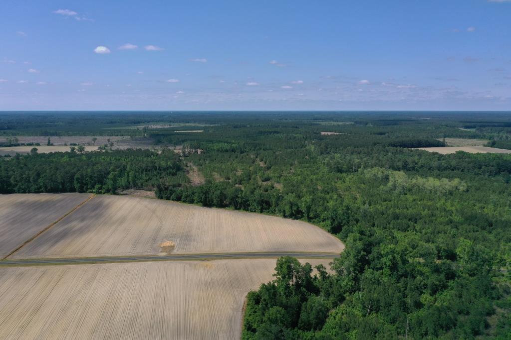 Bladen County North Carolina Land for Sale