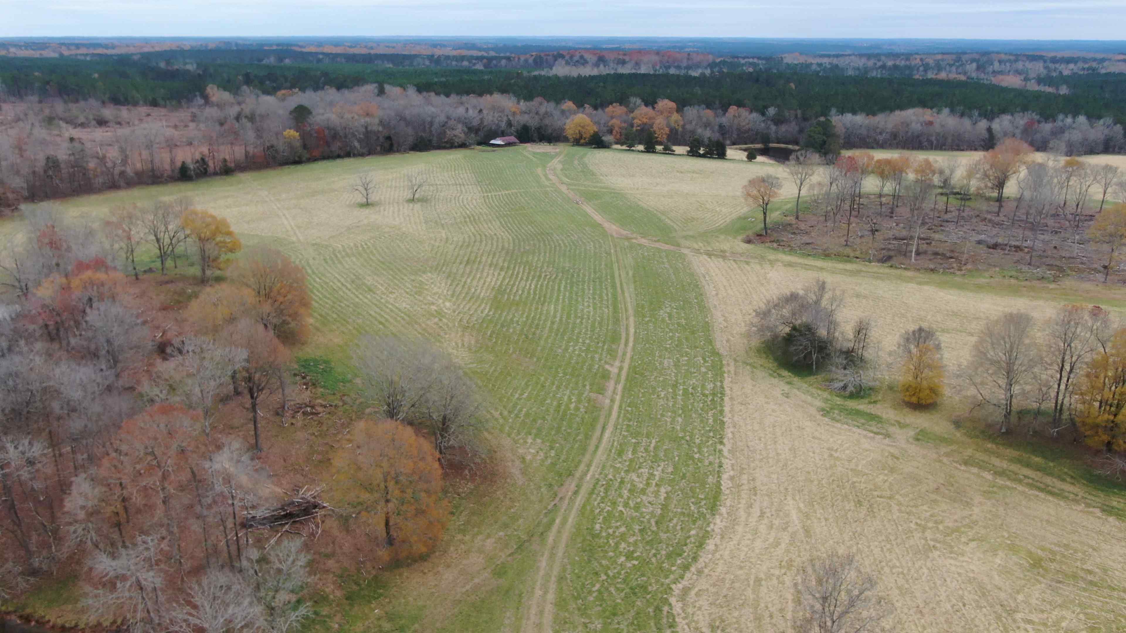 Edgefield County South Carolina Land for Sale