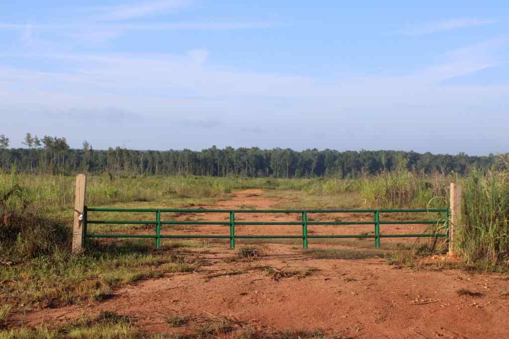 Newberry County South Carolina Land for Sale