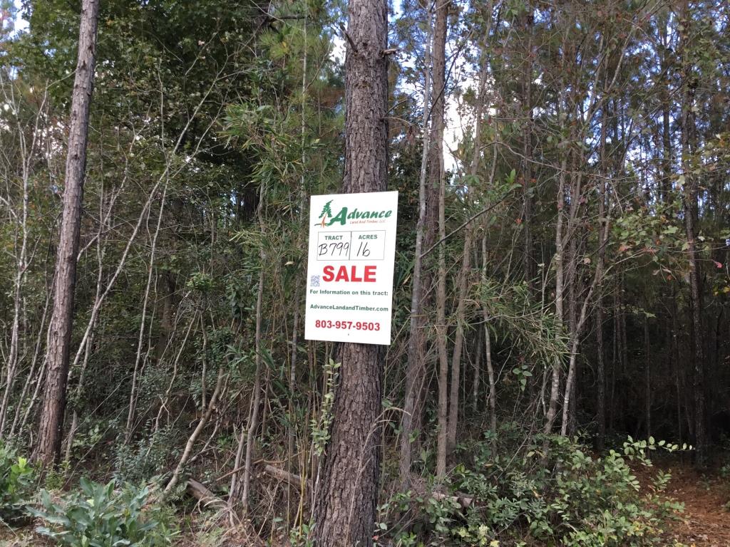 Advance Land and Timber Land for Sale