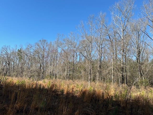 Advance Land and Timber Land for Sale