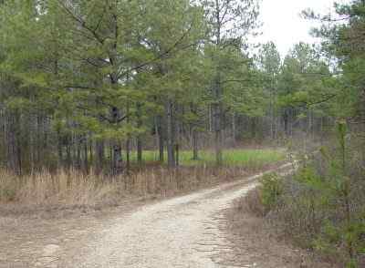 Blount County Alabama Land for Sale