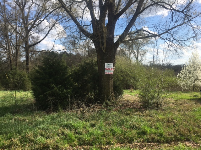 Advance Land and Timber Land for Sale