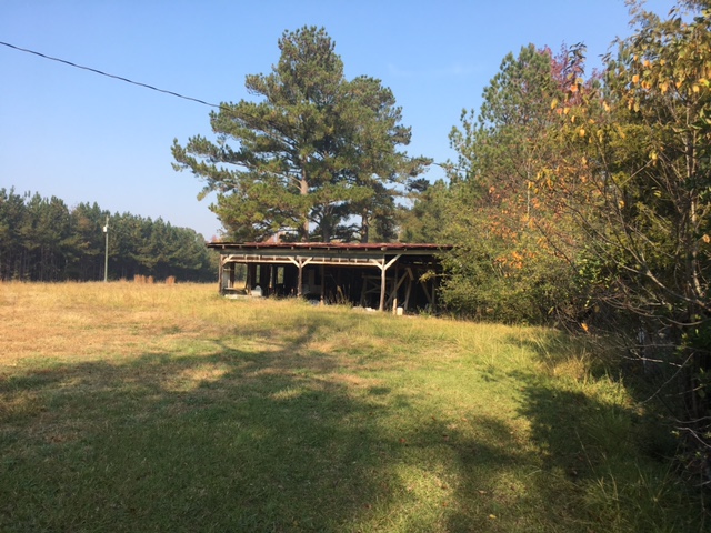 Advance Land and Timber Land for Sale