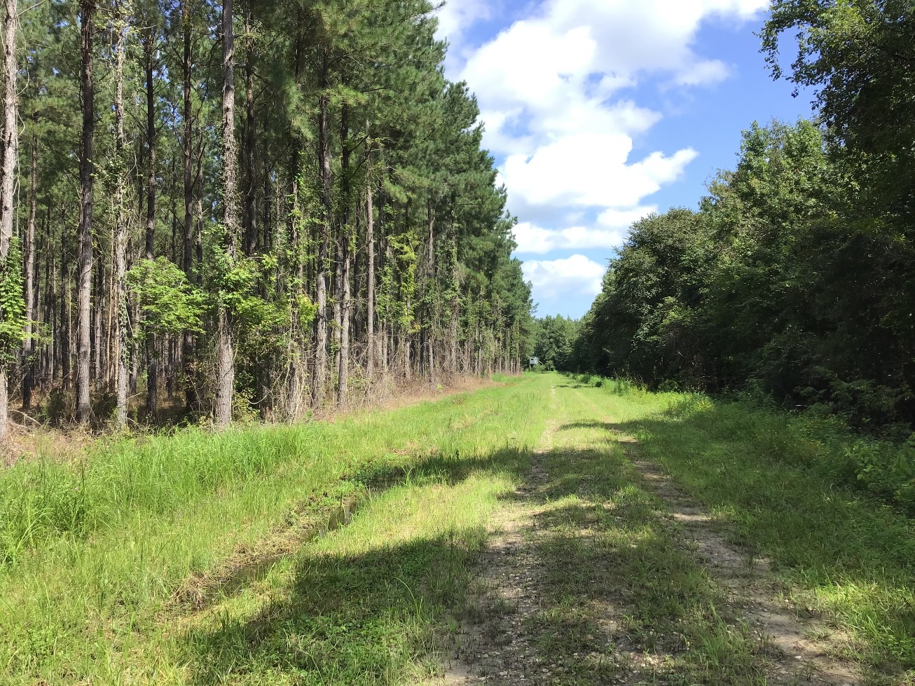 Dorchester County South Carolina Land for Sale