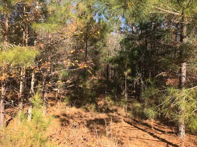 Union County South Carolina Land for Sale