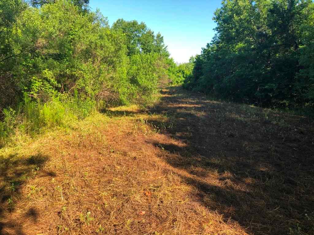 Tuscaloosa County Alabama Land for Sale