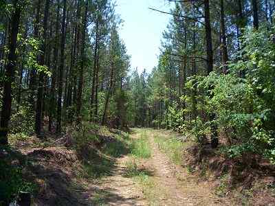 Spartanburg County South Carolina Land for Sale
