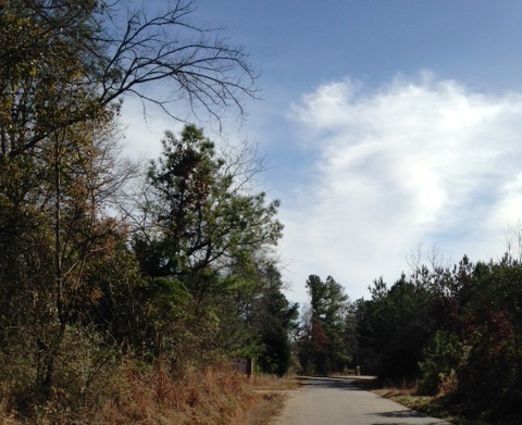 Advance Land and Timber Land for Sale