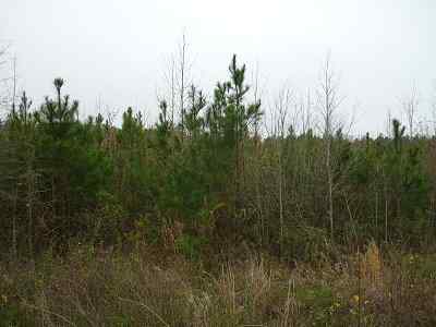 Richland County South Carolina Land for Sale