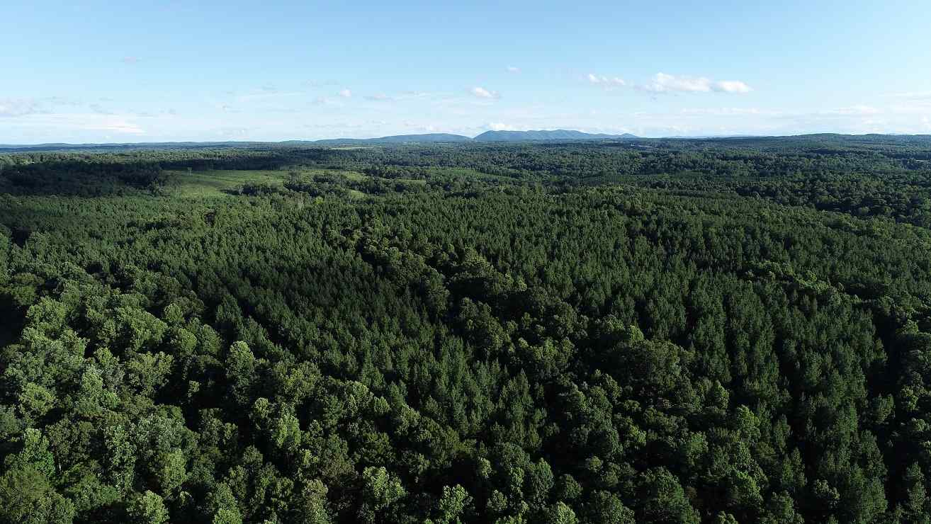 Advance Land and Timber Land for sale property_imgs/03fcd68e5673f08be96d2b6bb5be8261_1857.jpg