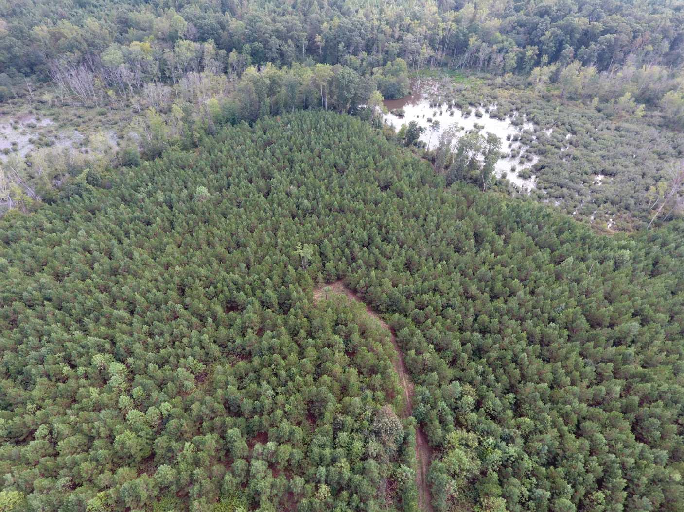 Brunswick County Virginia Land for Sale