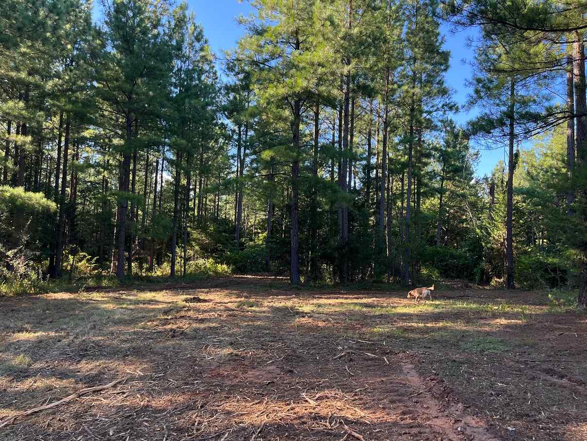 Advance Land and Timber Land for sale property_imgs/08fc80de8121419136e443a70489c123_1857.jpg