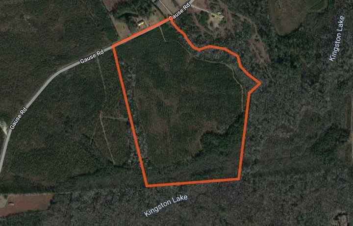 Advance Land and Timber Land for sale property_imgs/09d90af096ee93aae1cecbb338d43020.jpg