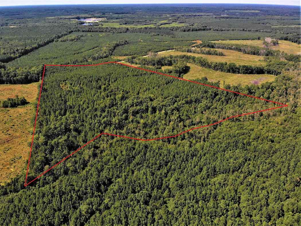 Advance Land and Timber Land for sale property_imgs/0a4bbceda17a6253386bc9eb45240e25_1853.jpg