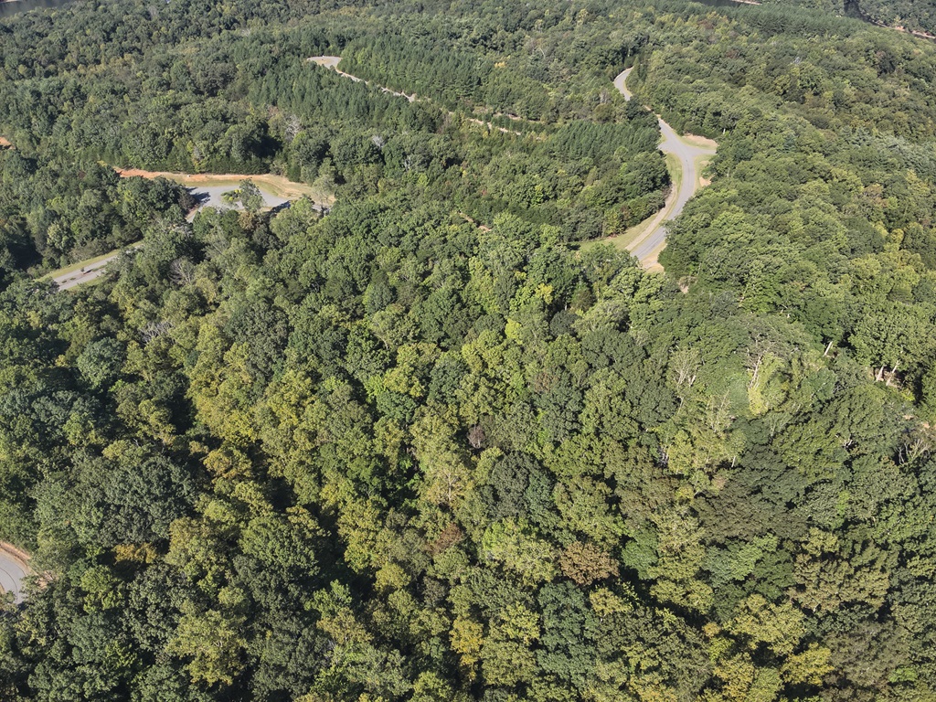 Advance Land and Timber Land for sale property_imgs/0a66e17d3ccde15bdecb253e7e293294_2086.jpg