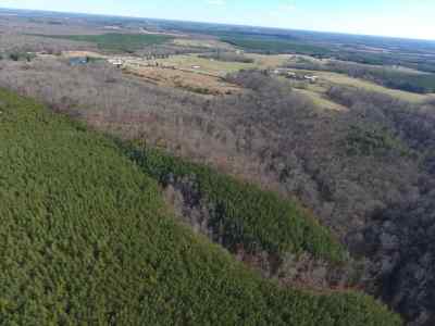 Advance Land and Timber Land for sale property_imgs/1113.jpg