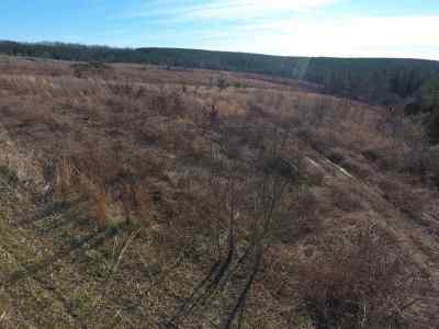 Advance Land and Timber Land for sale property_imgs/1114.jpg